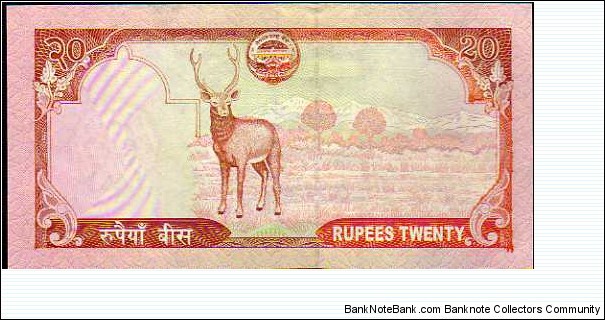 Banknote from Nepal year 2010