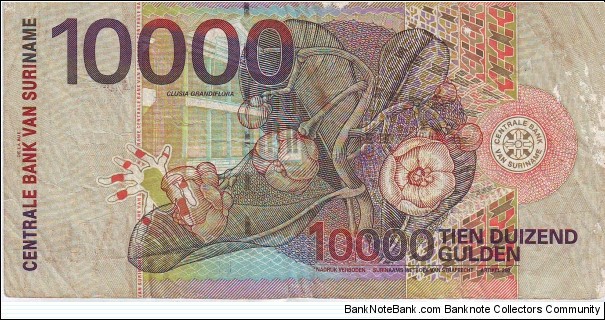 Banknote from Suriname year 2000