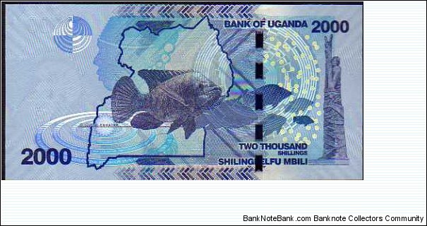 Banknote from Uganda year 2010