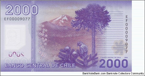 Banknote from Chile year 2009