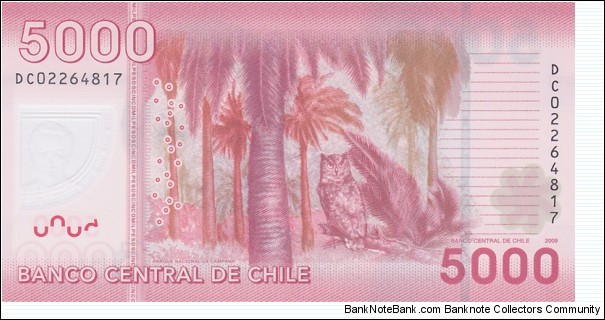 Banknote from Chile year 2009