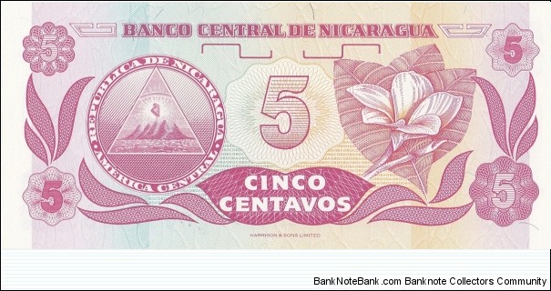 Banknote from Nicaragua year 1991