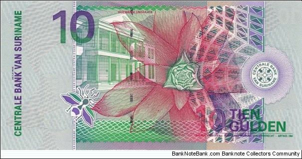 Banknote from Suriname year 2000