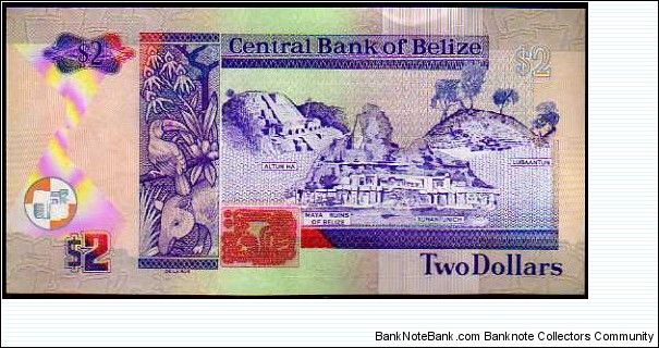 Banknote from Belize year 2007