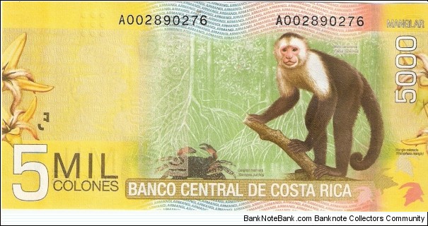 Banknote from Costa Rica year 2009