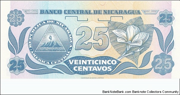 Banknote from Nicaragua year 1991