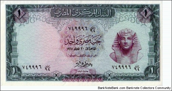 1 Pound Banknote