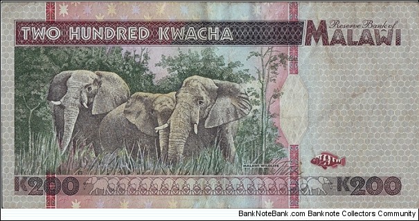 Banknote from Malawi year 1995