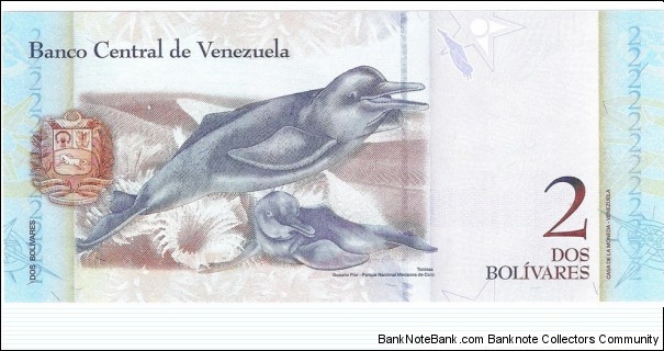 Banknote from Venezuela year 2007