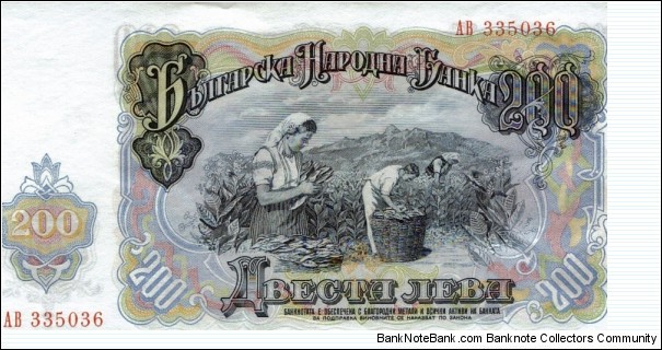 Banknote from Bulgaria year 1951