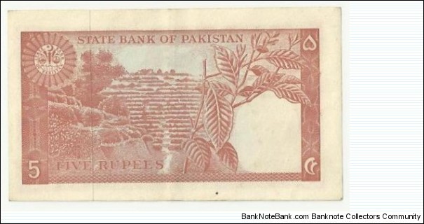 Banknote from Pakistan year 1973