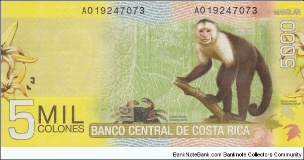 Banknote from Costa Rica year 2009