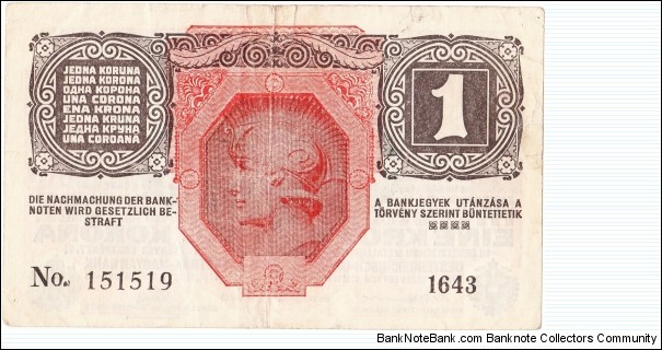 Banknote from Austria year 1919