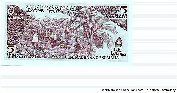 Banknote from Somalia year 1986