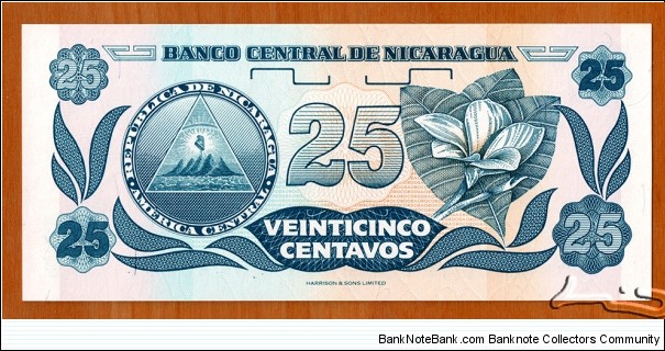 Banknote from Nicaragua year 1991