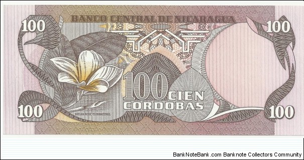 Banknote from Nicaragua year 1984