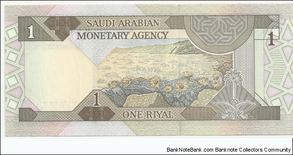 Banknote from Saudi Arabia year 1984