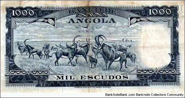 Banknote from Angola year 1970