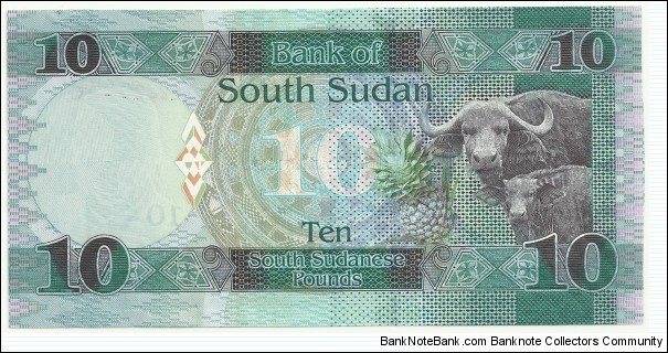 Banknote from Sudan year 2015