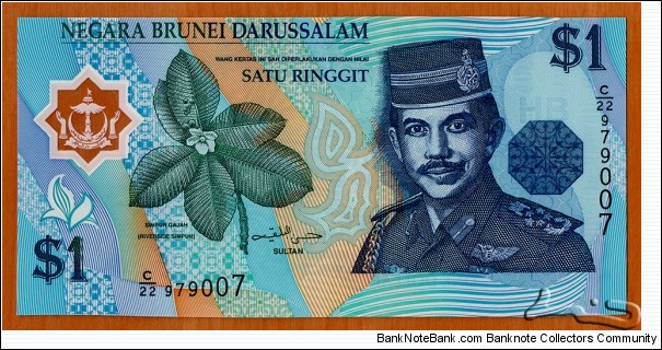 Brunei |
1 Ringgit/Dollar, 1996 | 

Obverse: The national flower of Brunei - Simpur Gajah (Riverside Simpur) (aka The River Simpor (Dillenia beccariana)), and Sultan Sir Hassanal Bolkiah | 

Reverse: Rainforest waterfall | 

Window: National Coat of Arms | Banknote