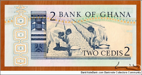 Banknote from Ghana year 1982