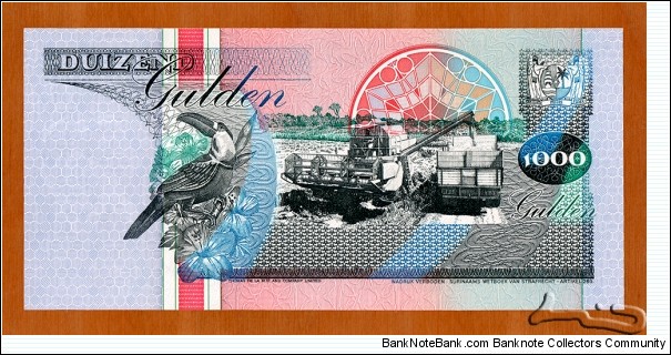 Banknote from Suriname year 1995