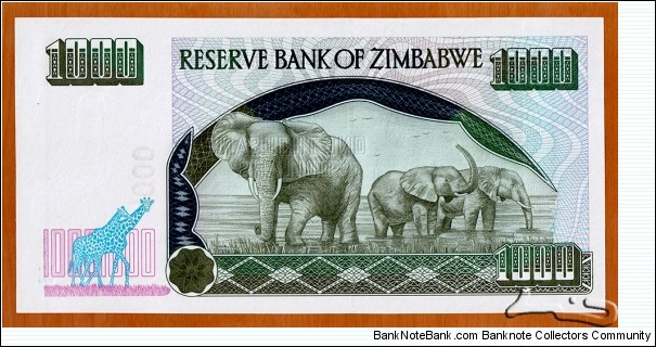 Banknote from Zimbabwe year 2003