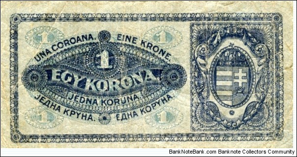 Banknote from Hungary year 1920