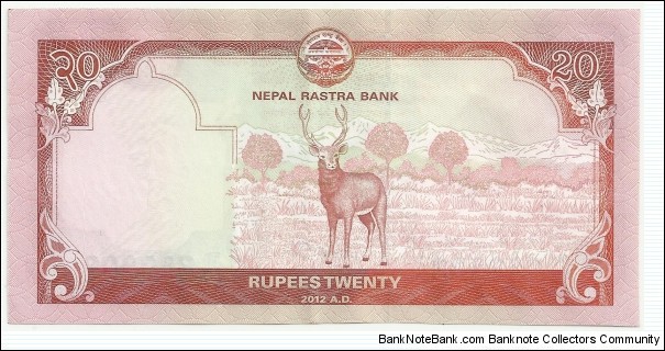 Banknote from Nepal year 2012