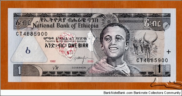 Ethiopia | 
1 Birr, 2000 | 

Obverse: Obverse: A boy, Lion head, and Longhorns | 
Reverse: White-throated bee-eaters and Tisisat waterfalls on the Blue Nile | Banknote