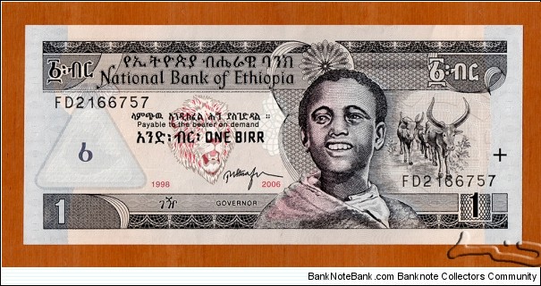 Ethiopia | 
1 Birr, 2006 | 

Obverse: Obverse: A boy, Lion head, and Longhorns | 
Reverse: White-throated bee-eaters and Tisisat waterfalls on the Blue Nile | Banknote