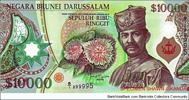 This note is tied with the 10,000-dollar note from Singapore for the circulating note with the highest face value in the world.

Green and brown. Front: Pangarut timun dendang (passiflora foetida) flower; Sultan Hassanal Bolkiah Mu’izzaddin Waddaulah wearing uniform and cap; coat of arms. 

Back: Legislative Council (Parliament) building in Bandar Seri Begawan. No security thread. Watermark (shadow image): Sultan. Printer: (NPA). 181 x 90 mm. Polymer. 2006. Signature 1. Intro: 28.12.2006. Banknote