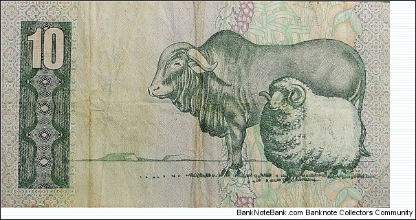 Banknote from South Africa year 1981