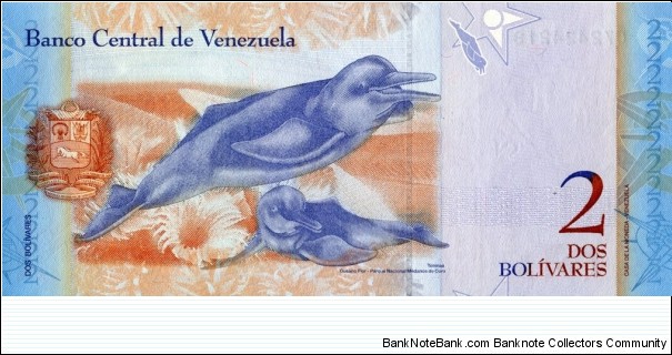 Banknote from Venezuela year 2007