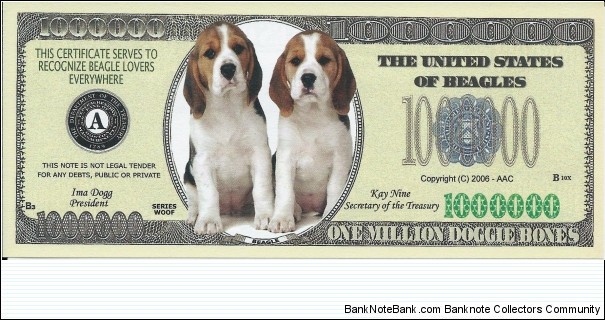 Banknote from USA year 2006