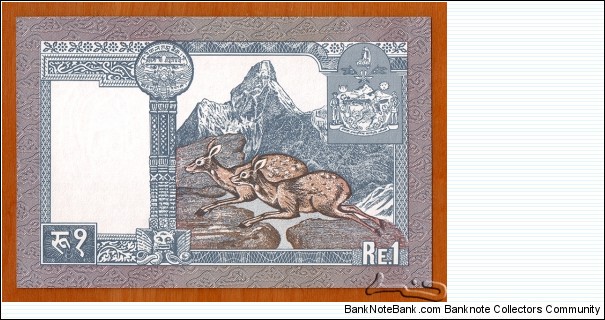 Banknote from Nepal year 1995