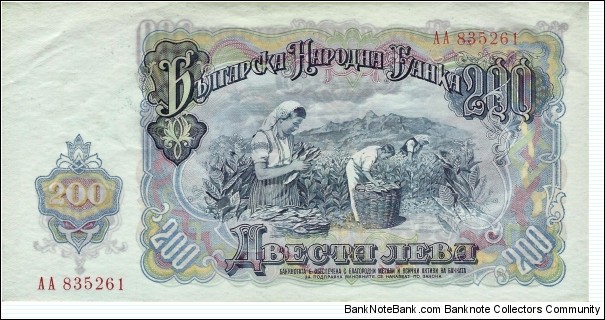 Banknote from Bulgaria year 1951