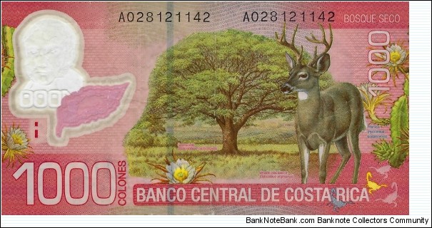 Banknote from Costa Rica year 2009