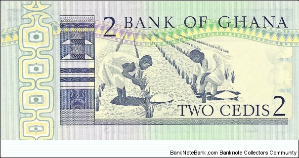 Banknote from Ghana year 1982