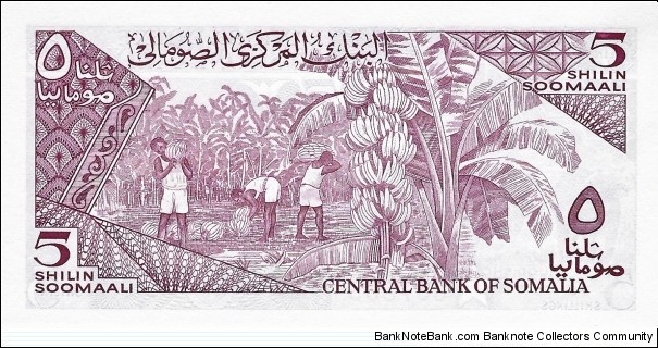 Banknote from Somalia year 1983