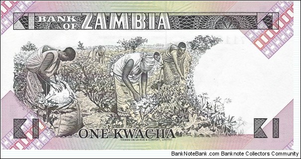 Banknote from Zambia year 1980