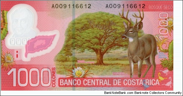 Banknote from Costa Rica year 2009