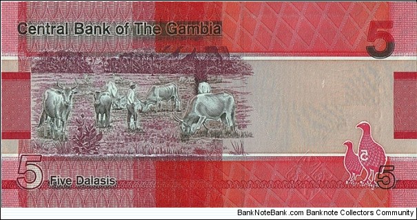 Banknote from Gambia year 2019