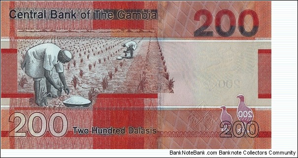 Banknote from Gambia year 2019