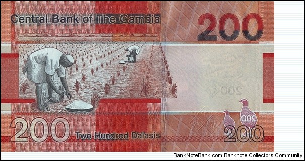 Banknote from Gambia year 2019