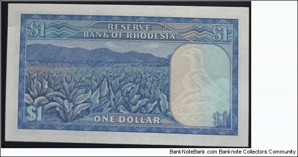 Banknote from Rhodesia year 1979