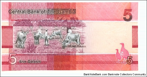 Banknote from Gambia year 2019