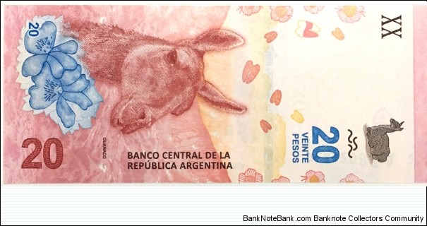 20 Pesos Banknote