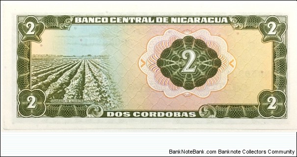 Banknote from Nicaragua year 1972