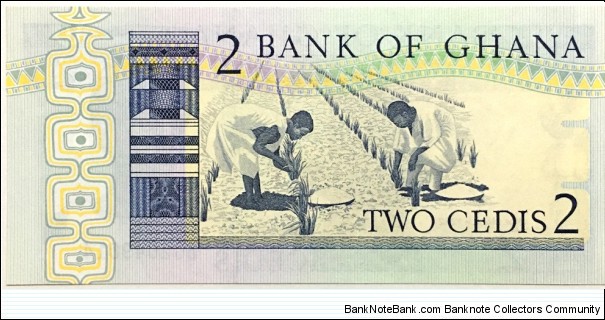 Banknote from Ghana year 1982